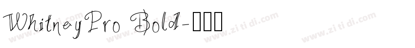 WhitneyPro Bold字体转换